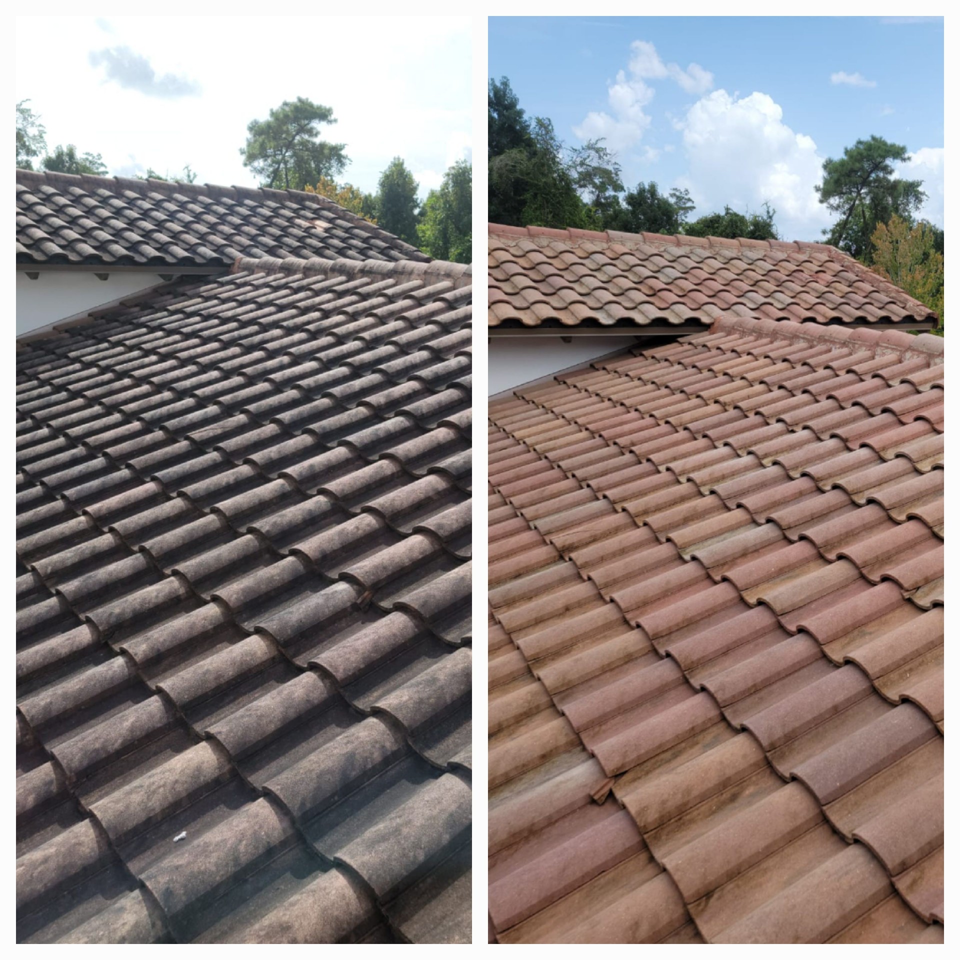Before-and-after collage of a tile roof cleaned with soft washing.