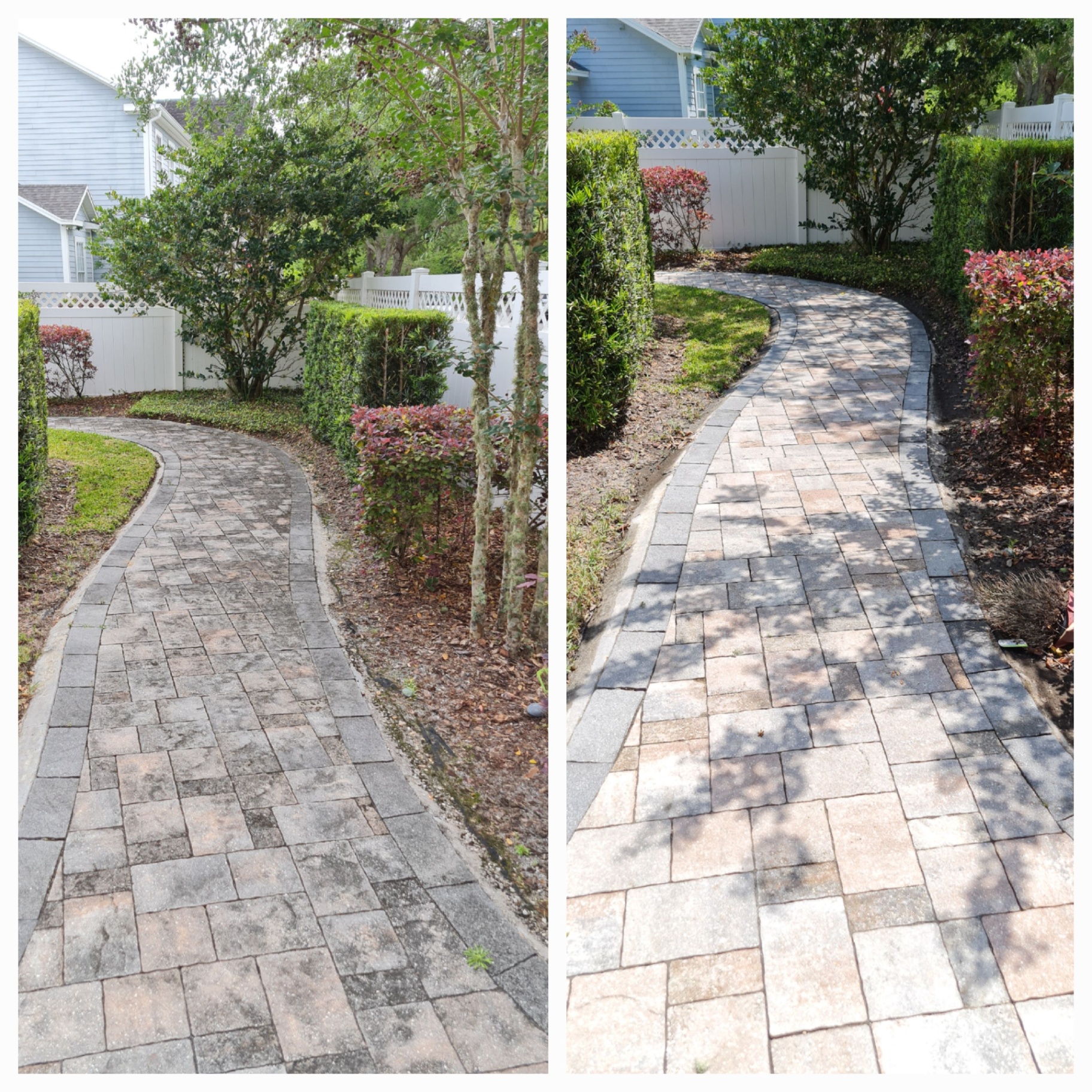 Paver walkway cleaned to bright finish.